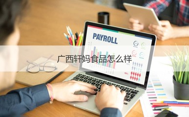 廣西軒媽食品公司概覽 工作時間、發(fā)展與計算機軟硬件業(yè)務(wù)